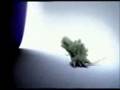 Xem Video