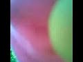 VIDEO PROHIBIDO DE PRIMER PLANO VERSION COMPLETA Y MEJORADA
