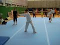 Ein kurzer Trainingssampler von Taekwonboy