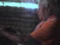 videos de Tierra de Maiz 3-4