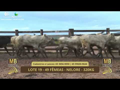 542� LEIL�O VIRTUAL MB LEIL�ES