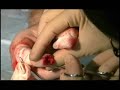 Ben\ Ben\