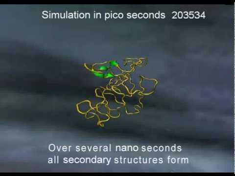 Lysozyme Formation