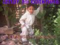 batkhela