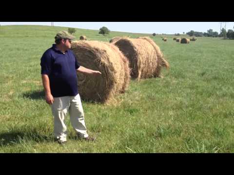 how to fertilize pasture