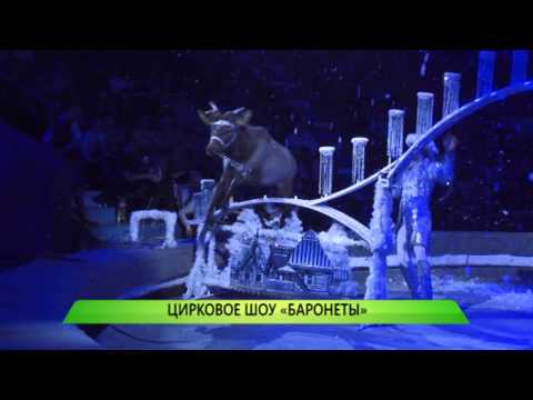 Новогоднее шоу гии эрадзе 2018 год о чем Новогоднее шоу гии эрадзе 2018 год о чем