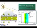 Action Potential Action Potential