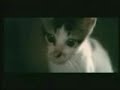 Autechre & AzK - NO FIGHTING Vol.2 Autechre & AzK - NO FIGHTING Vol.2