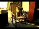 Trey and the Rocking Chair