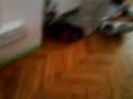 The awkward Little helper