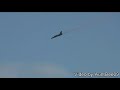 airshows-america-four-jet-patriots-team-at-seafair-2007.html