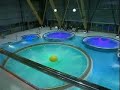 AquaCity Laser Extravaganza