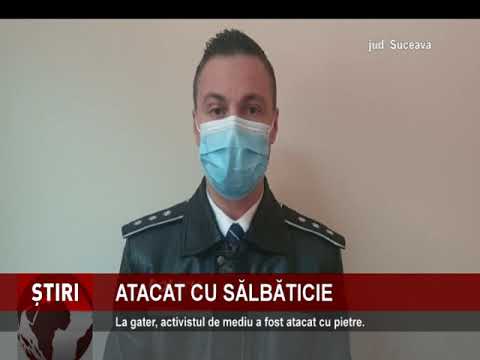 Un activist de mediu din Suceava a fost atacat cu pietre, în timp ce urmărea un camion suspect plin cu lemne
