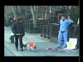 Impostor: Fake Transplant Organs