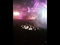 Decibel outdoor festival 2010 (neophyte)