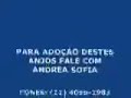 Caes para adoção