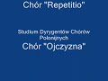 utw�r napisany z okazji 42. mi?dzynarodowego festiwalu organowego w koszalinie (i po?wi?cony jest tematowi niepokalanego pocz?cia naj?wi?tszej maryi panny)

prawykonanie z dnia 11.07.2008 w katedrze pw. niepokalanego pocz?cia naj?wi?tszej maryi panny w koszalinie

wykonawcy: 
kamila orchowska-hilla - sopran
artur janda - baryton
bogdan narloch - organy
ch�r 