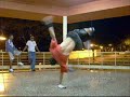 flexcrew nineteen training 2007