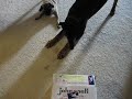 Rosco and the box