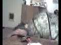 Yoga ball rodeo 1