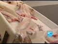 Fishermen split over EU membership