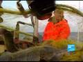 Fishermen split over EU membership