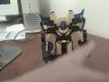 Botcon 2008 Shattered Glass Goldbug