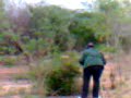 jugando en el palotal airsoft