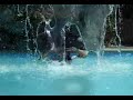 Pentax W20 Water test (Part 2)
