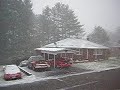 snow snow
