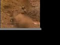 the music video for mountain man from death alley