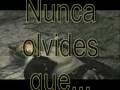 Estopa- Destrangis in the night