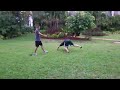 Rainy Day Workout