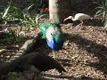 Zoologico Santa Fe 150