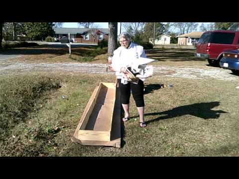 how to transplant jerusalem artichoke