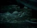 Flood