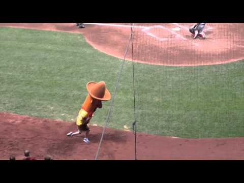WATCH : Racing Sausage Tumble
