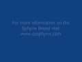 kitty-breast-massage.html