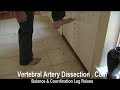 Vertebral Artery Dissection - Leg Raises Rehab
