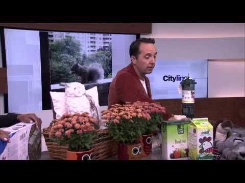 video-linktoworks-How do you get rid of squirrels?