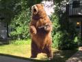 Terrorized-By-Bear-w