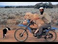 Camello taliban ( BinLaden)