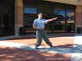 SUN-SHEN Tai-Chi 7 Basics - Basic Form - Diagonal View
