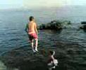 Obesi a mare Obesi a mare