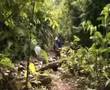 DESTINIA.COM EN BUSCA DE LA CIUDAD PERDIDA DE PAITITI