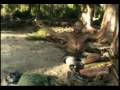 videos de Survivor Vanuatu - Episode 5 The Earthquake moment