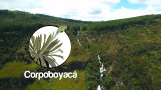 Páramo de Rabanal, uno de los mejores regalos en Navidad