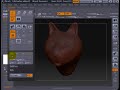 zbrush3 re-top vid1