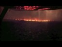 videos de Amazzonia che brucia