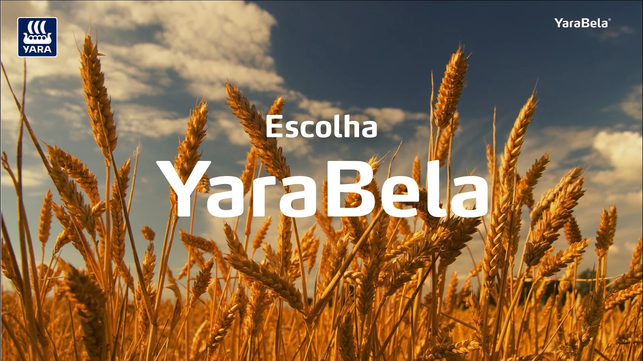 Plantação mais rentável | YaraBela